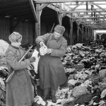 Юдін В. Радянські воїни на складі речей в’язнів концтабору Аушвіц. Січень 1945